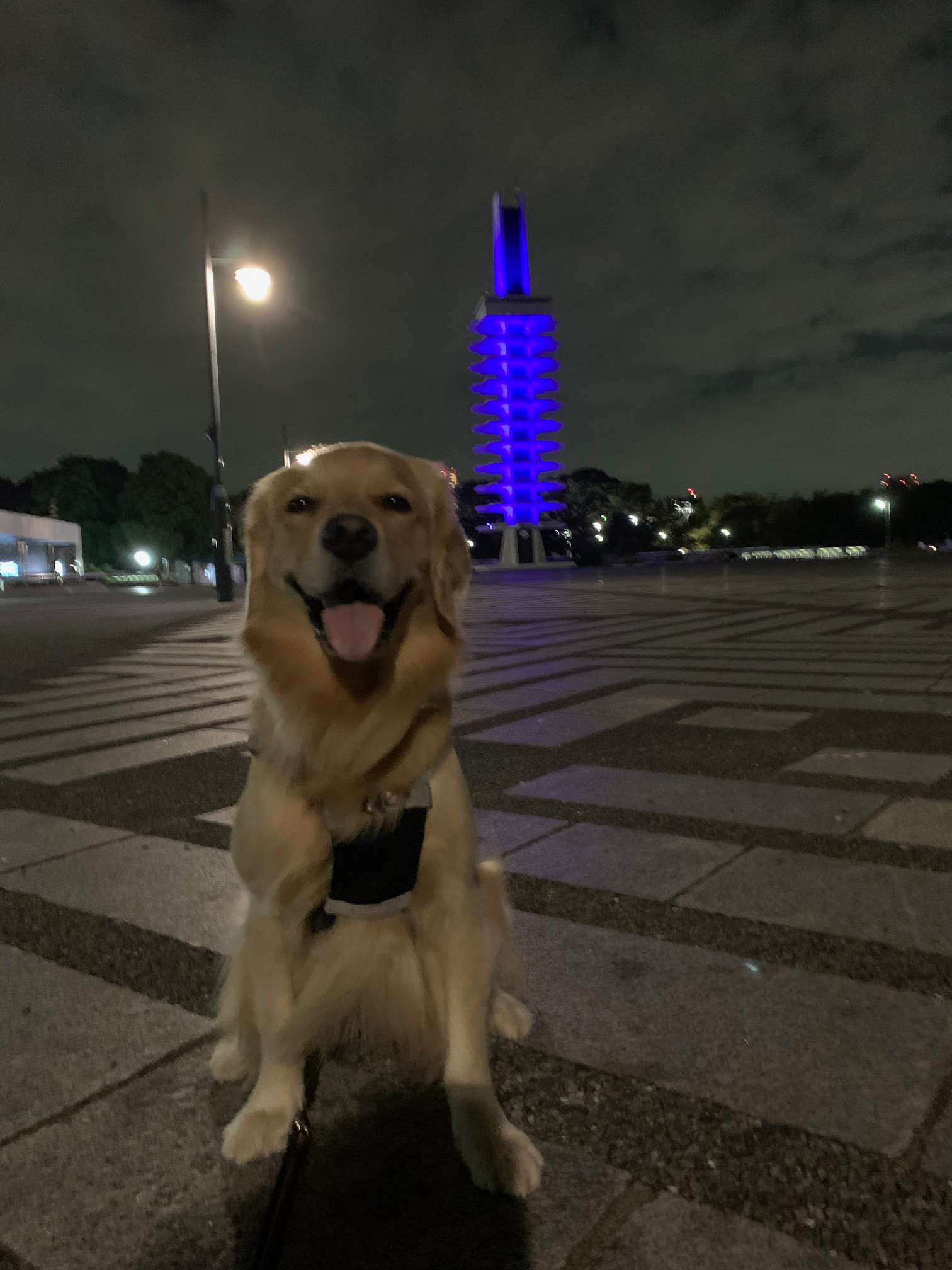 ファイル 7795-3.jpg