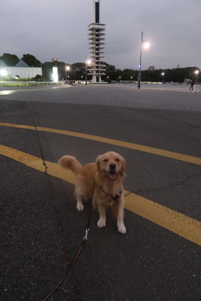 ファイル 7795-4.jpg