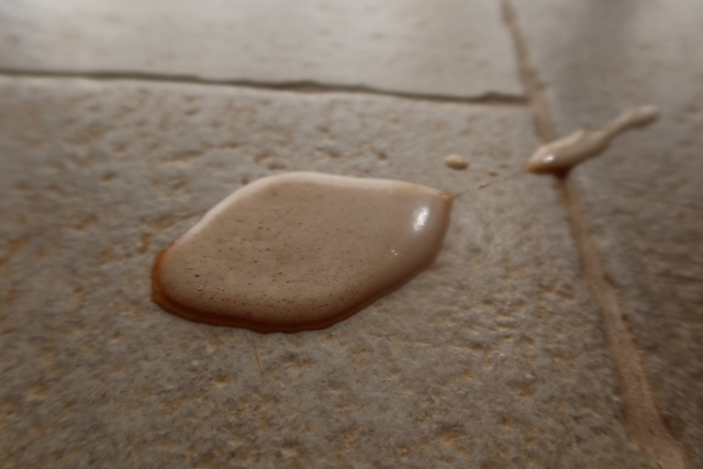 ファイル 7797-1.jpg