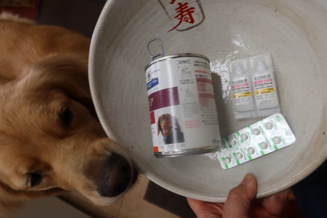 ファイル 7797-2.jpg