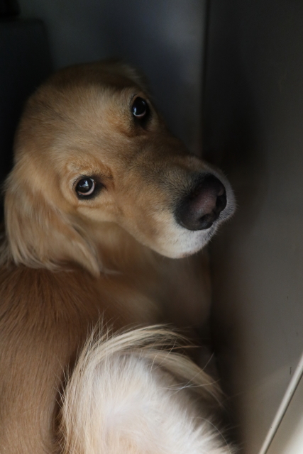 ファイル 7797-5.jpg