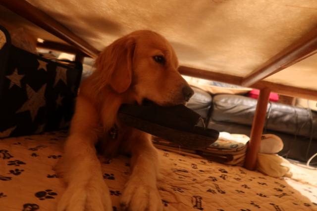 ファイル 7798-2.jpg