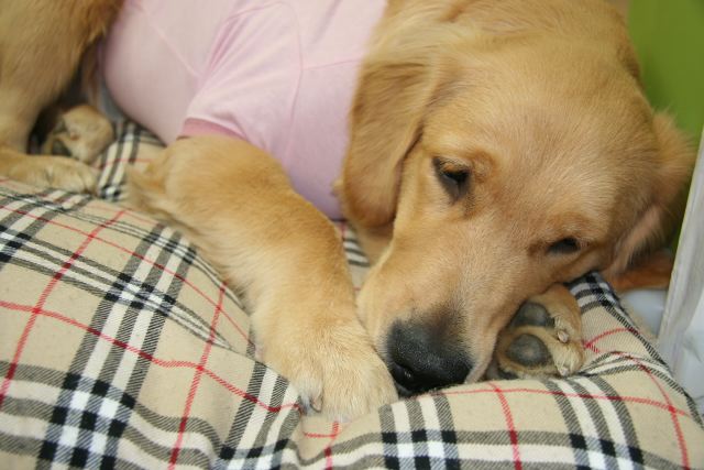 ファイル 78-2.jpg