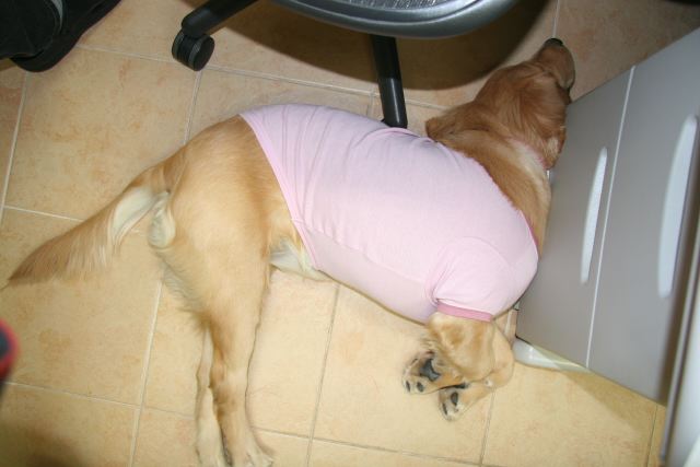 ファイル 78-3.jpg