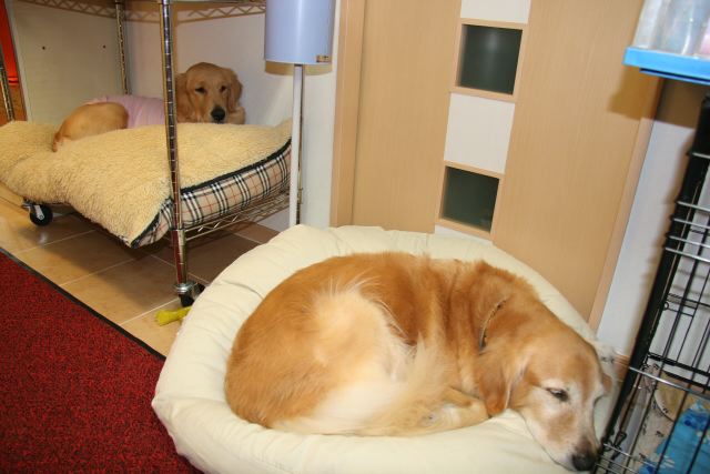 ファイル 78-4.jpg