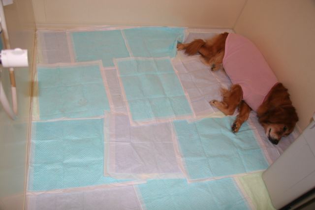 ファイル 78-5.jpg