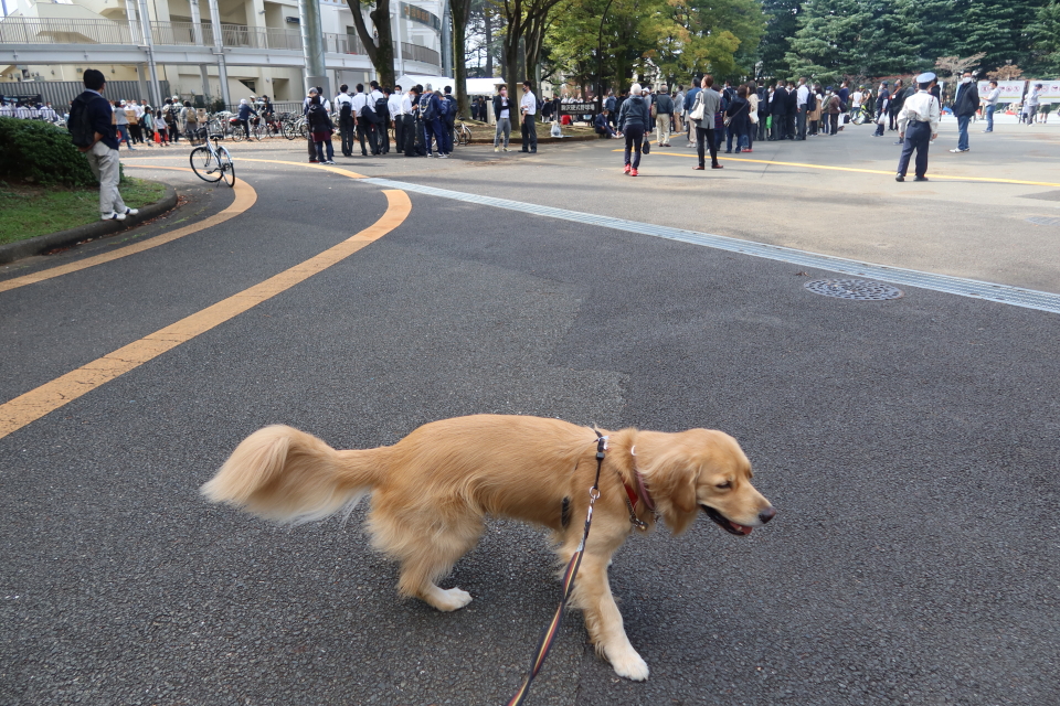 ファイル 7800-2.jpg