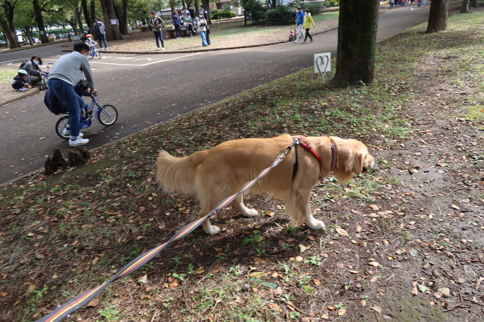 ファイル 7800-3.jpg