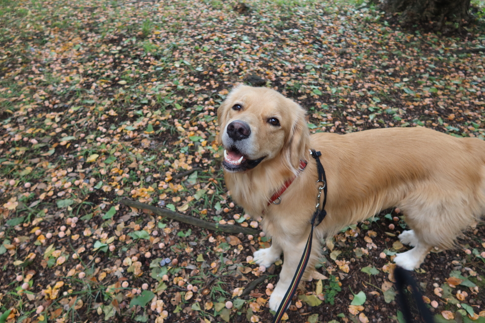 ファイル 7800-4.jpg