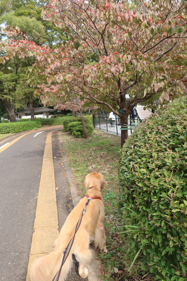 ファイル 7800-5.jpg