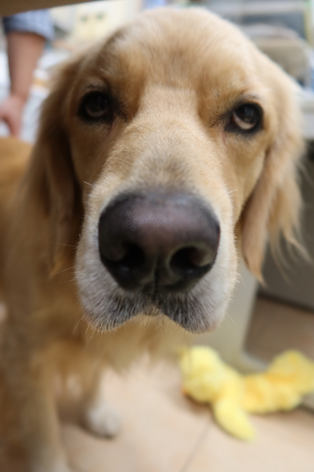 ファイル 7801-1.jpg