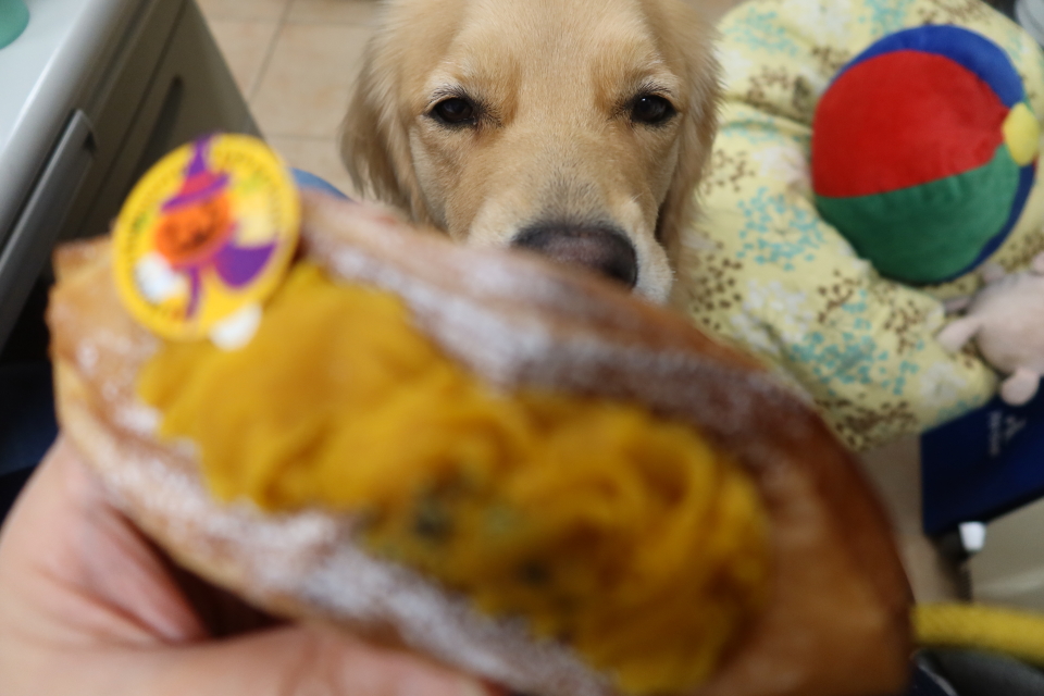 ファイル 7801-2.jpg