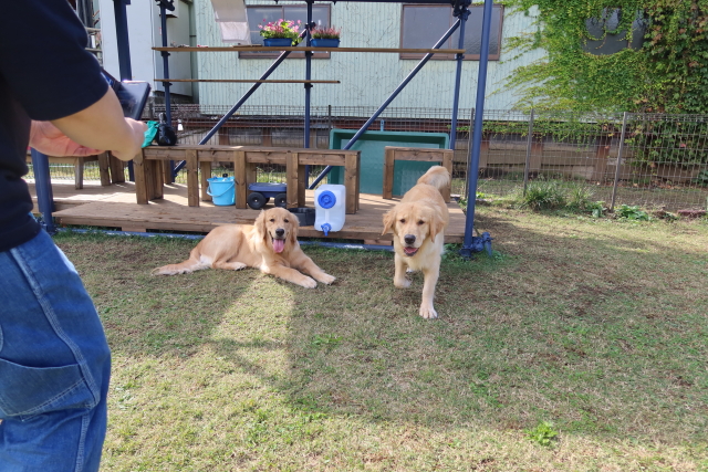 ファイル 7802-2.jpg