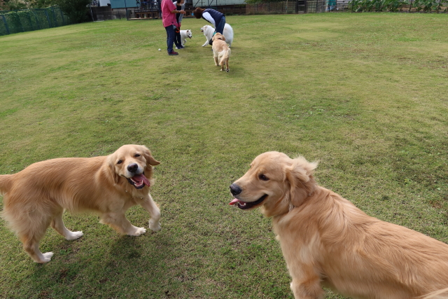 ファイル 7802-4.jpg