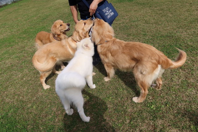 ファイル 7802-5.jpg