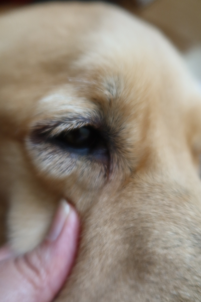 ファイル 7804-3.jpg