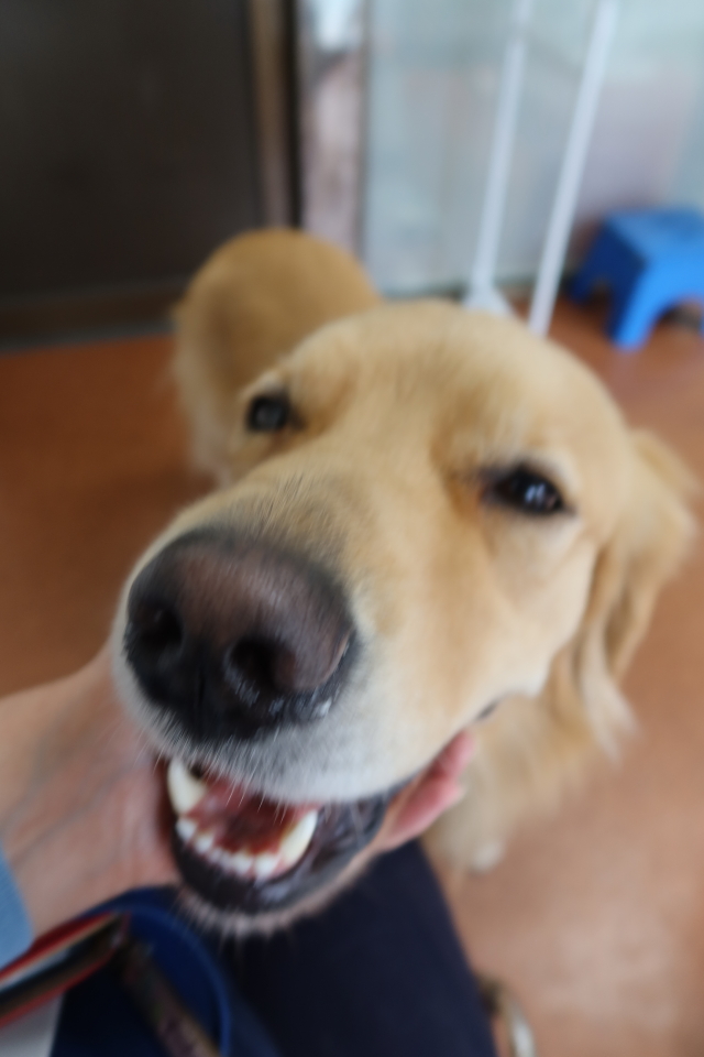 ファイル 7804-5.jpg