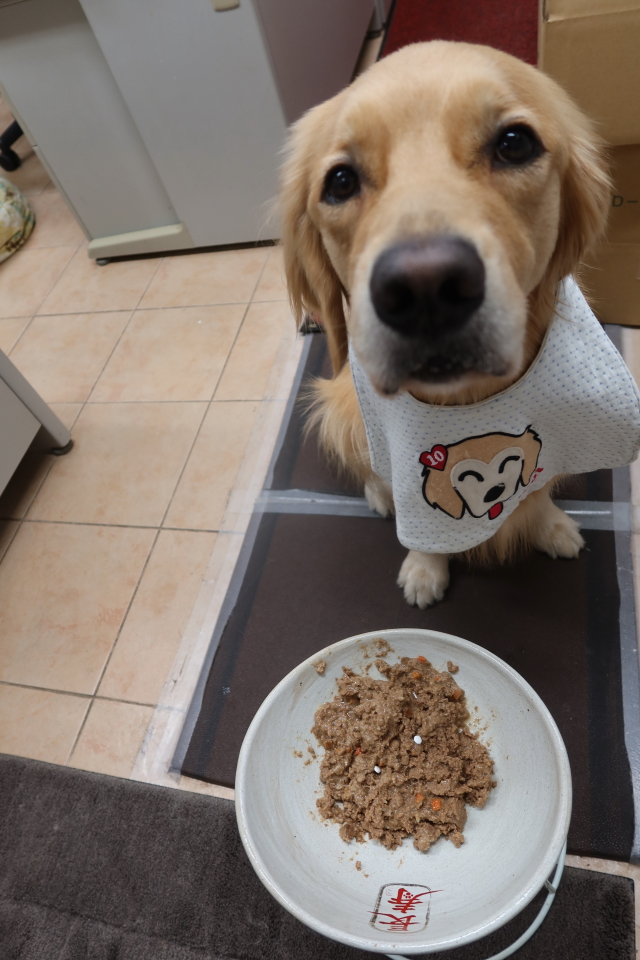 ファイル 7805-4.jpg