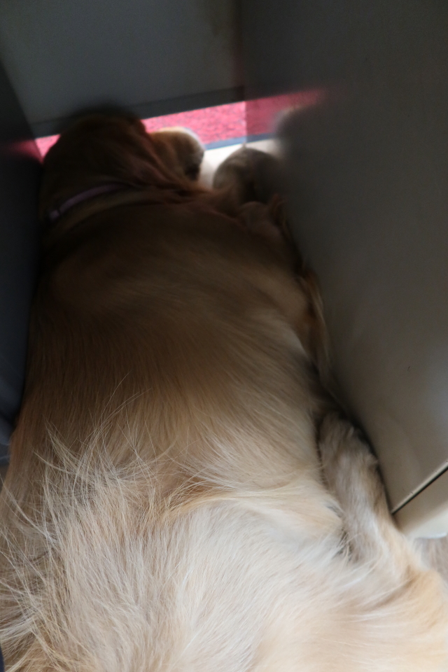 ファイル 7805-5.jpg