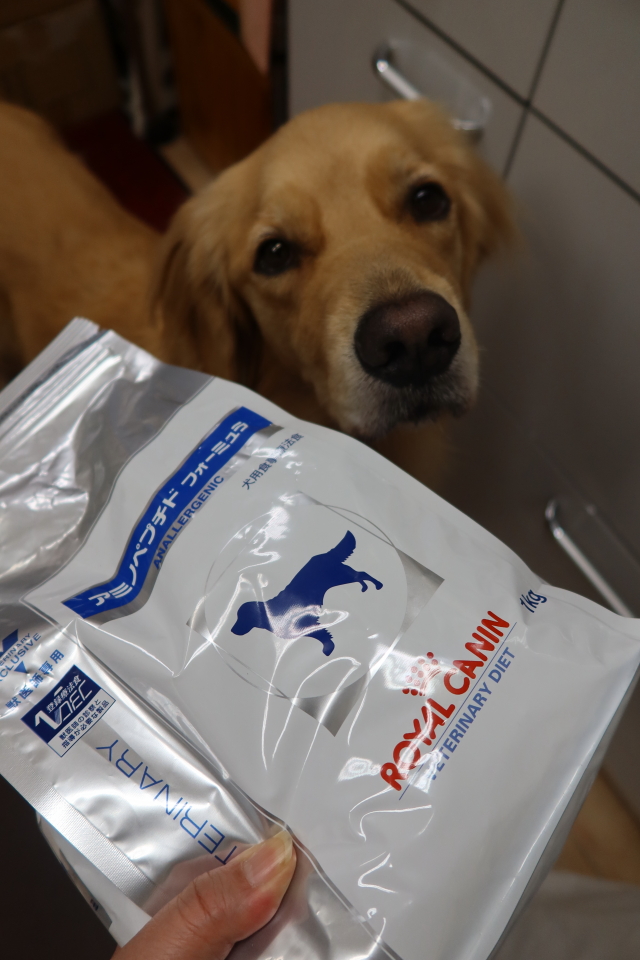 ファイル 7806-4.jpg