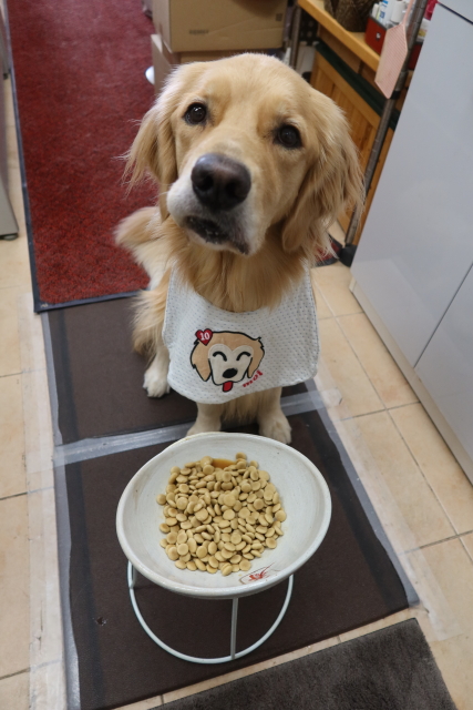 ファイル 7807-2.jpg