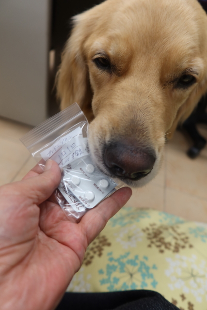 ファイル 7807-5.jpg