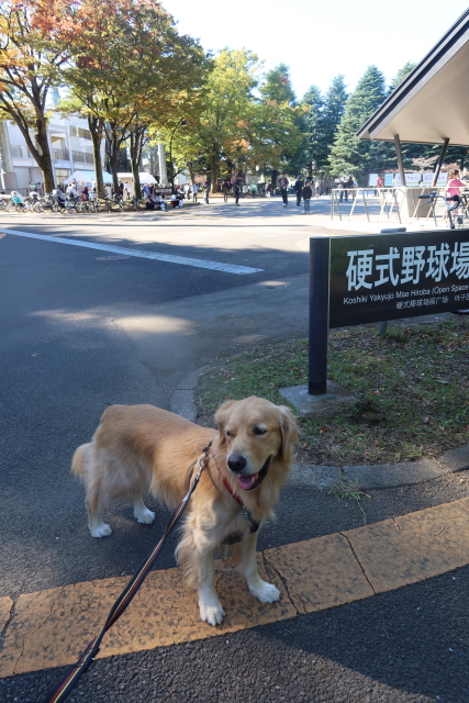 ファイル 7808-2.jpg