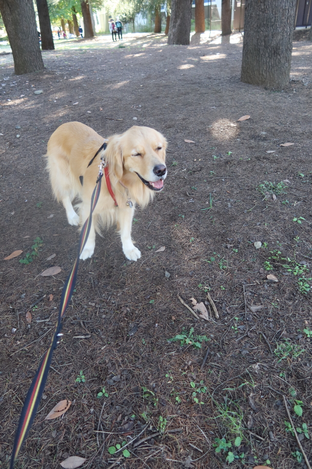 ファイル 7808-3.jpg