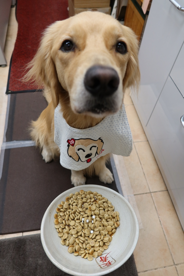 ファイル 7809-4.jpg