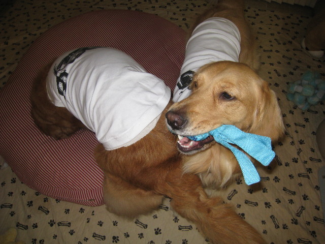 ファイル 781-4.jpg