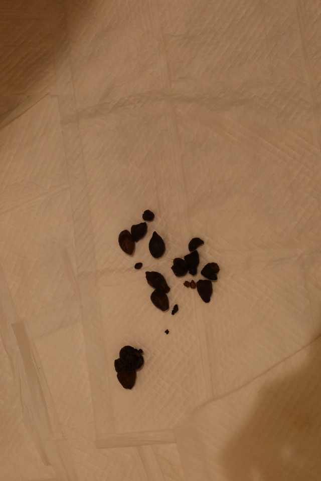 ファイル 7810-3.jpg