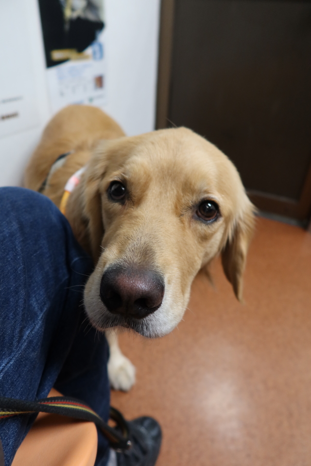 ファイル 7810-5.jpg