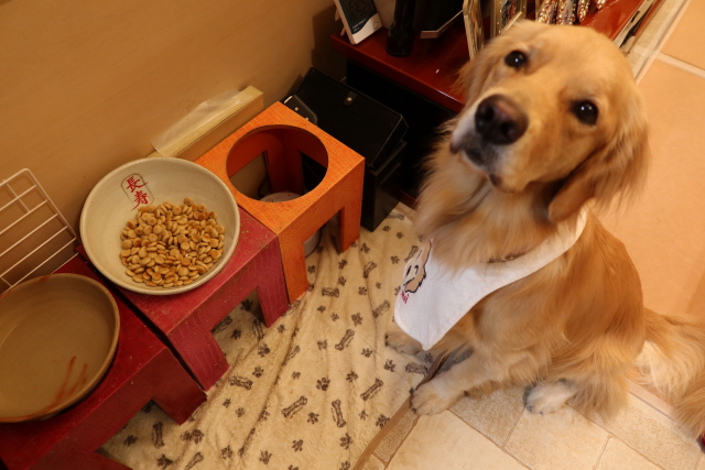 ファイル 7811-1.jpg