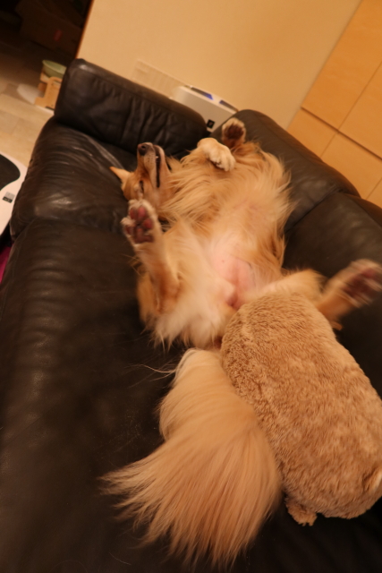 ファイル 7811-3.jpg