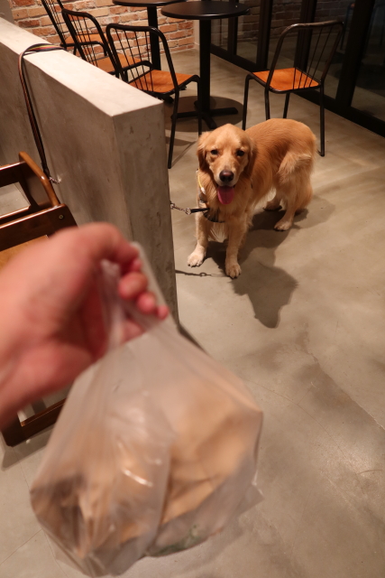 ファイル 7811-5.jpg