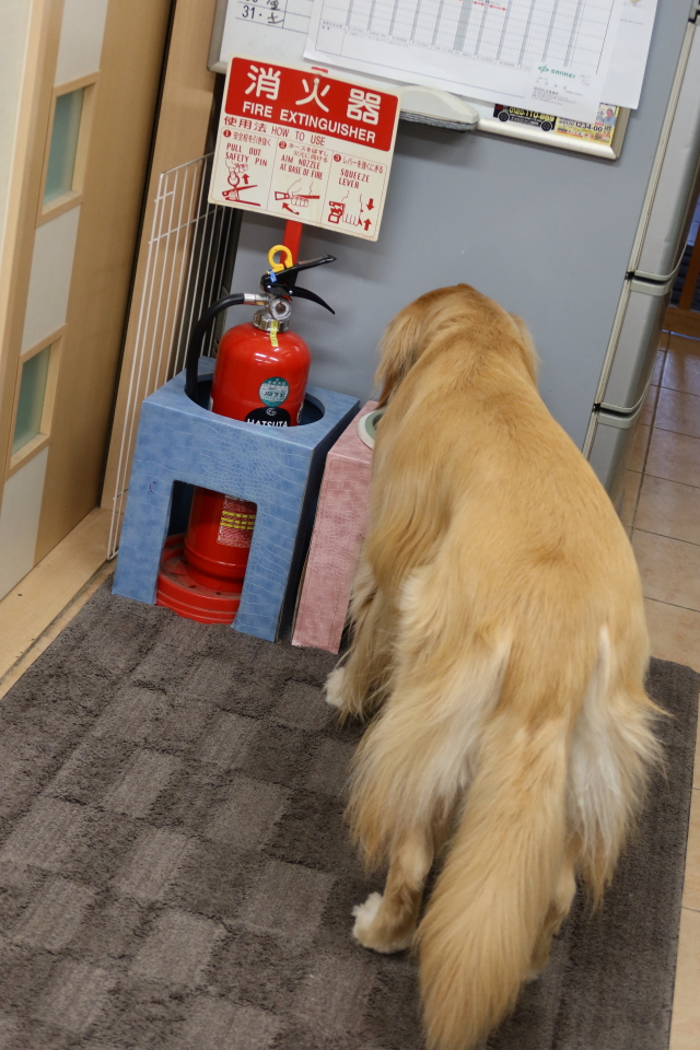 ファイル 7813-2.jpg