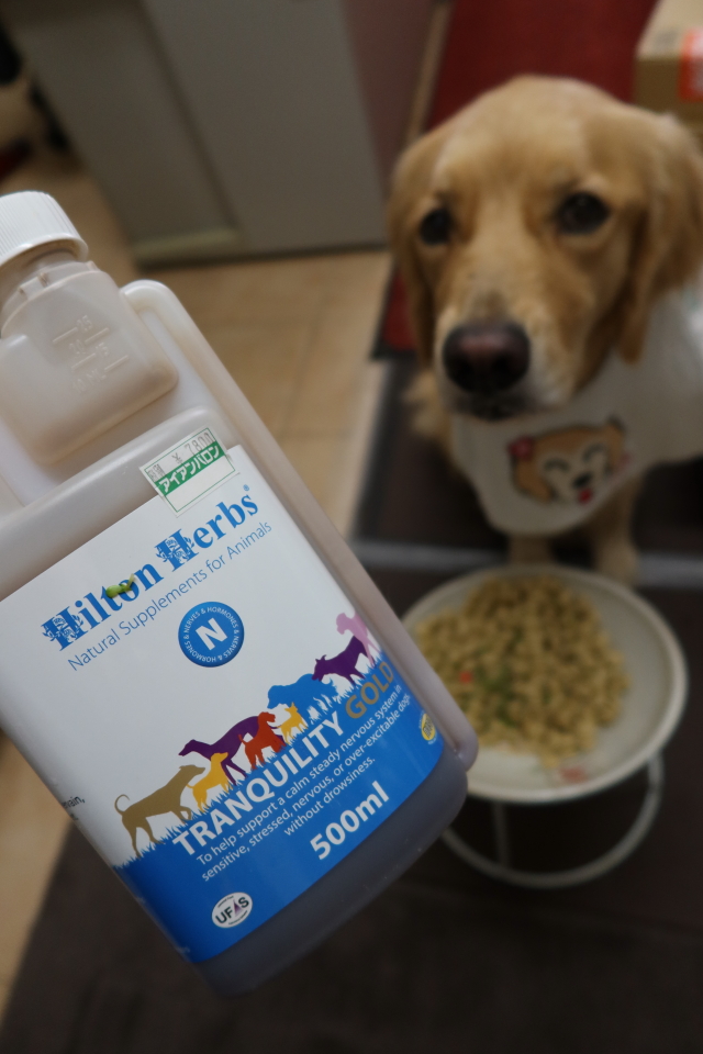 ファイル 7816-1.jpg