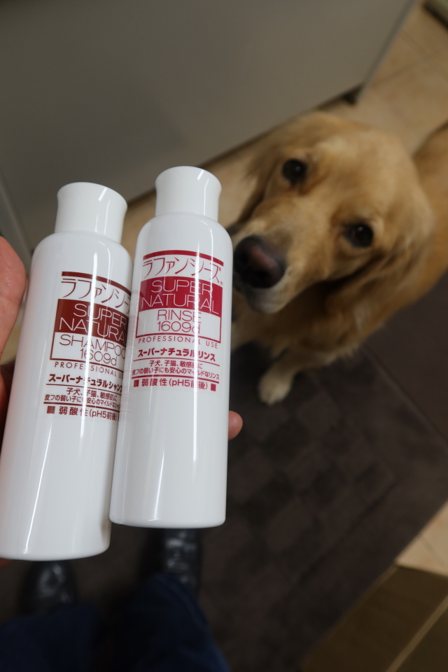 ファイル 7816-3.jpg