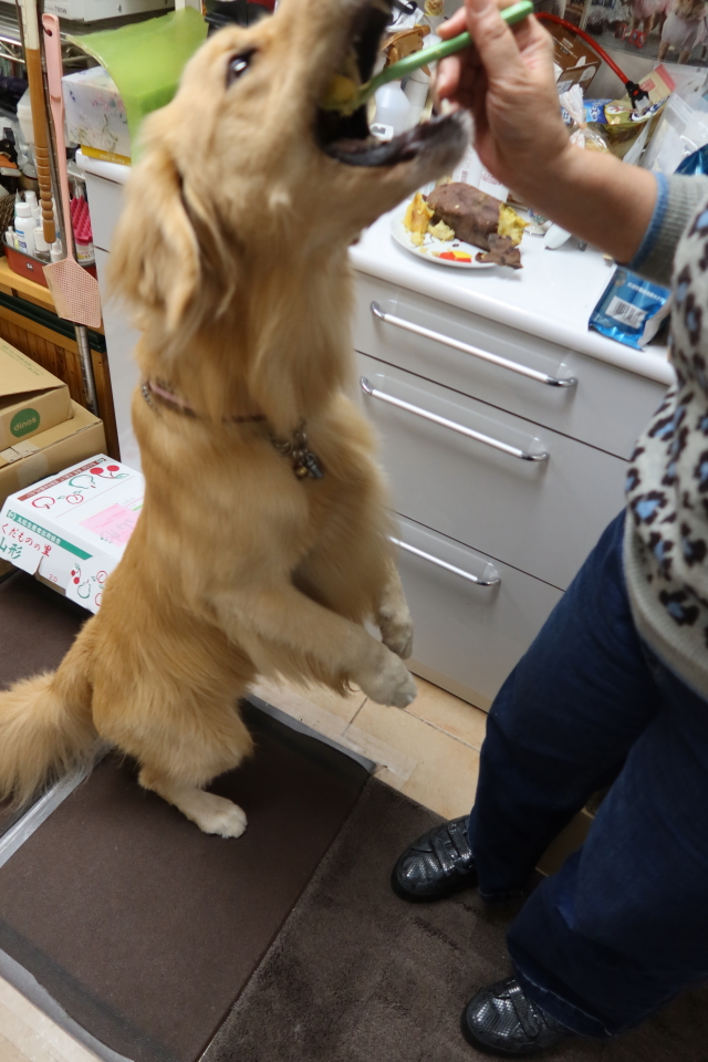 ファイル 7816-5.jpg