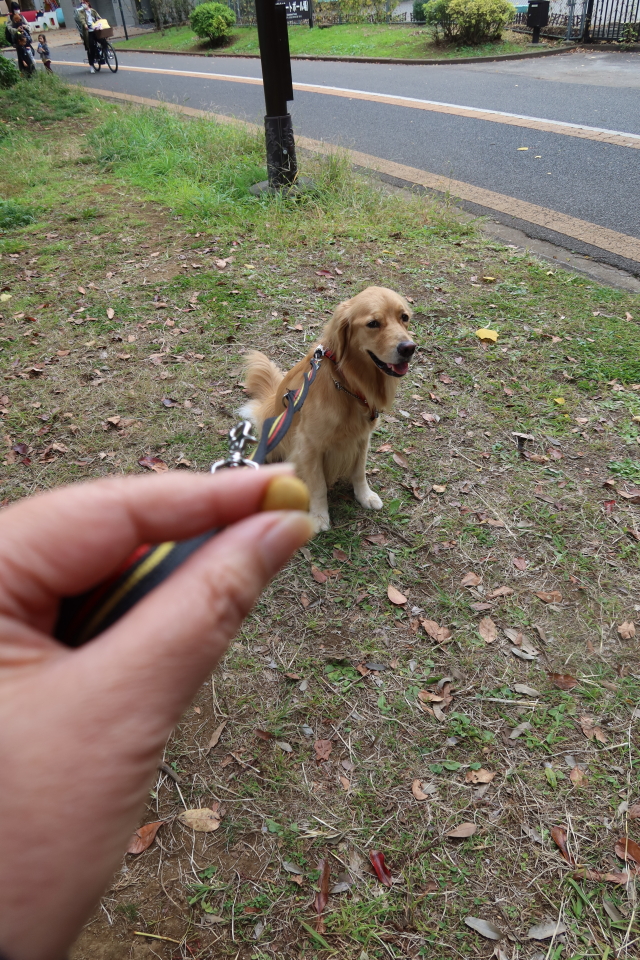 ファイル 7817-3.jpg