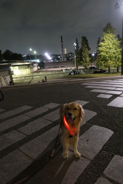 ファイル 7818-3.jpg