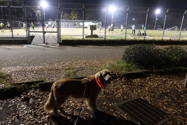 ファイル 7818-4.jpg