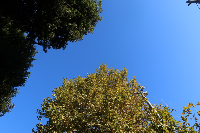 ファイル 7819-1.jpg