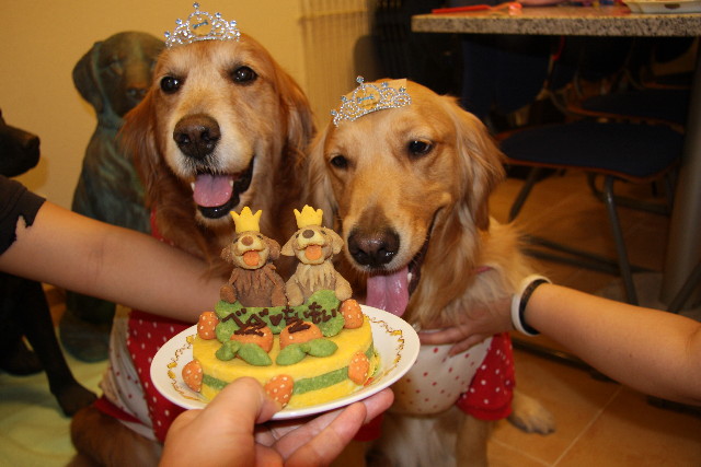 ファイル 782-1.jpg