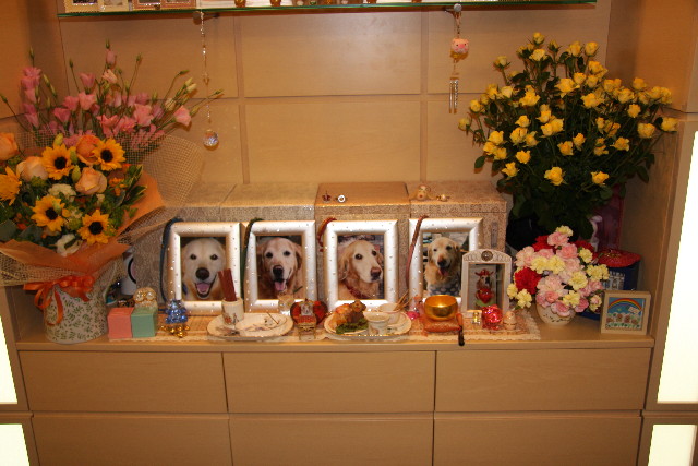 ファイル 782-2.jpg