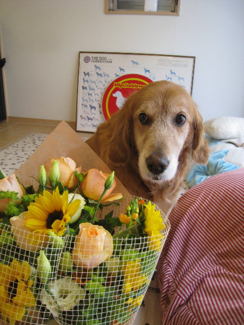 ファイル 782-3.jpg