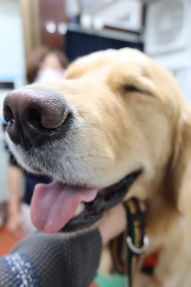 ファイル 7821-1.jpg