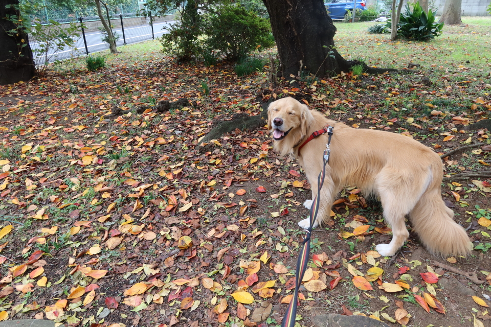 ファイル 7822-5.jpg