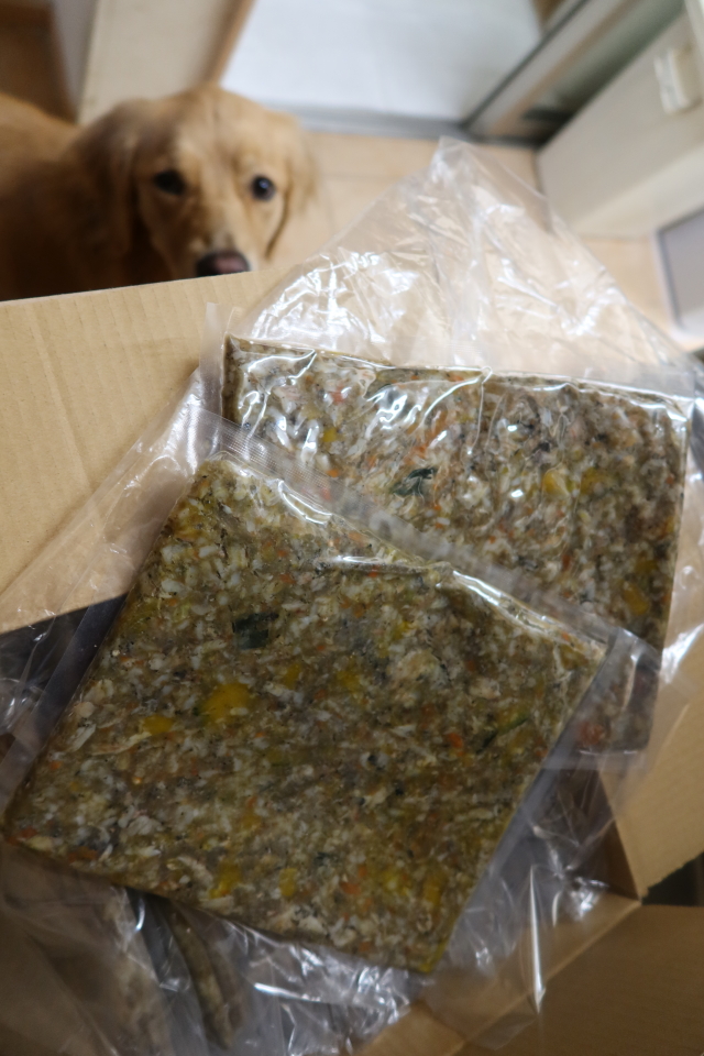 ファイル 7825-4.jpg