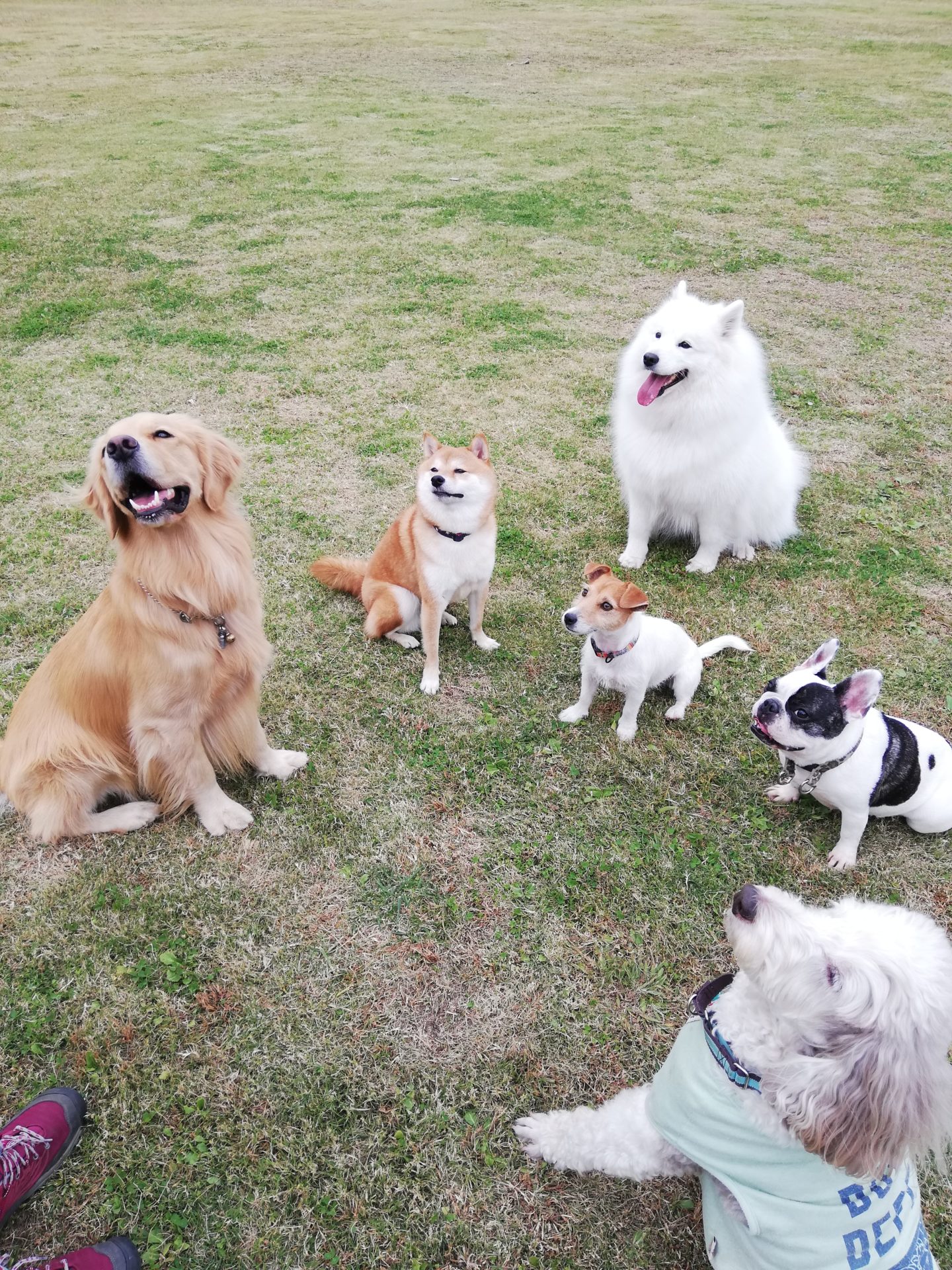 ファイル 7827-4.jpg